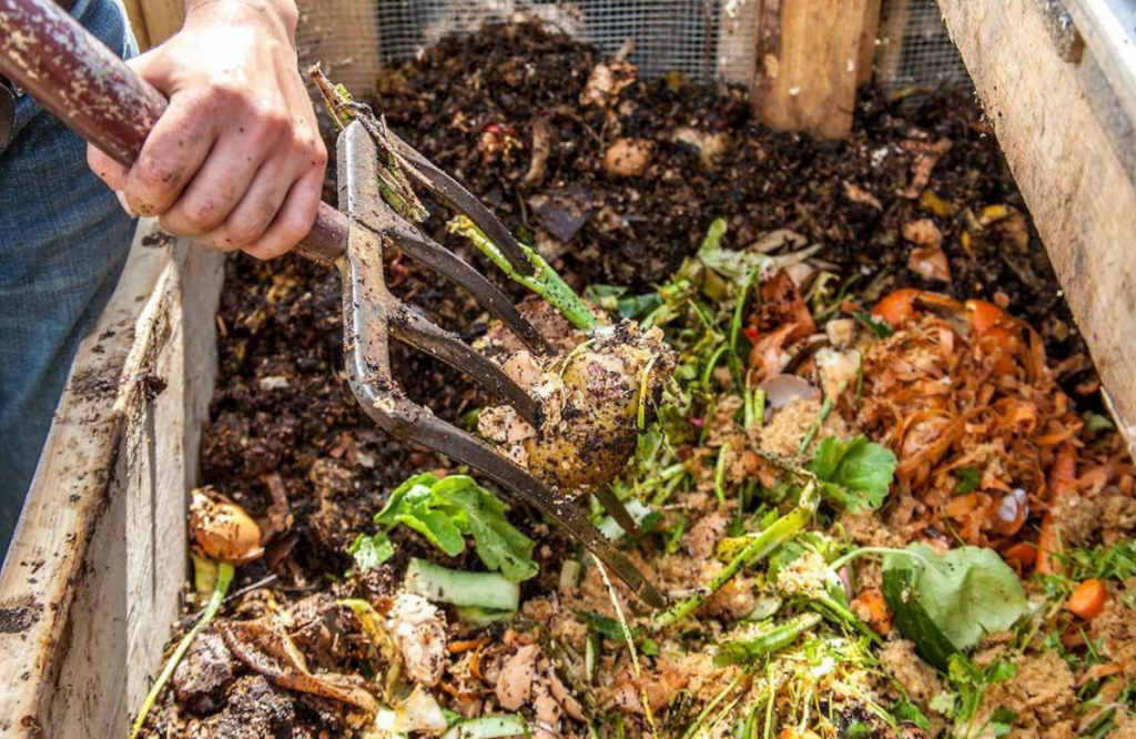 konposta-1024x666 Konpostaje-tailerrak