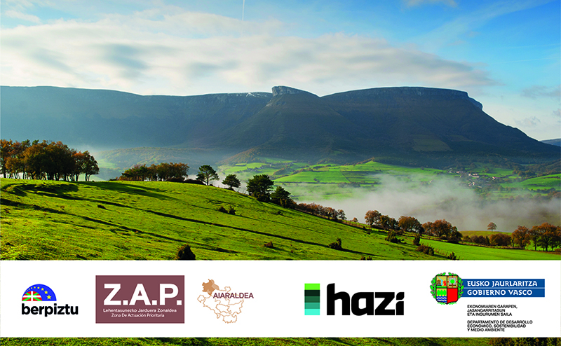 caecera_formulario_aiara_web Abierto el plazo de inscripción para participar en los concursos de iniciativas empresariales para impulsar la actividad económica y el empleo en Aiaraldea