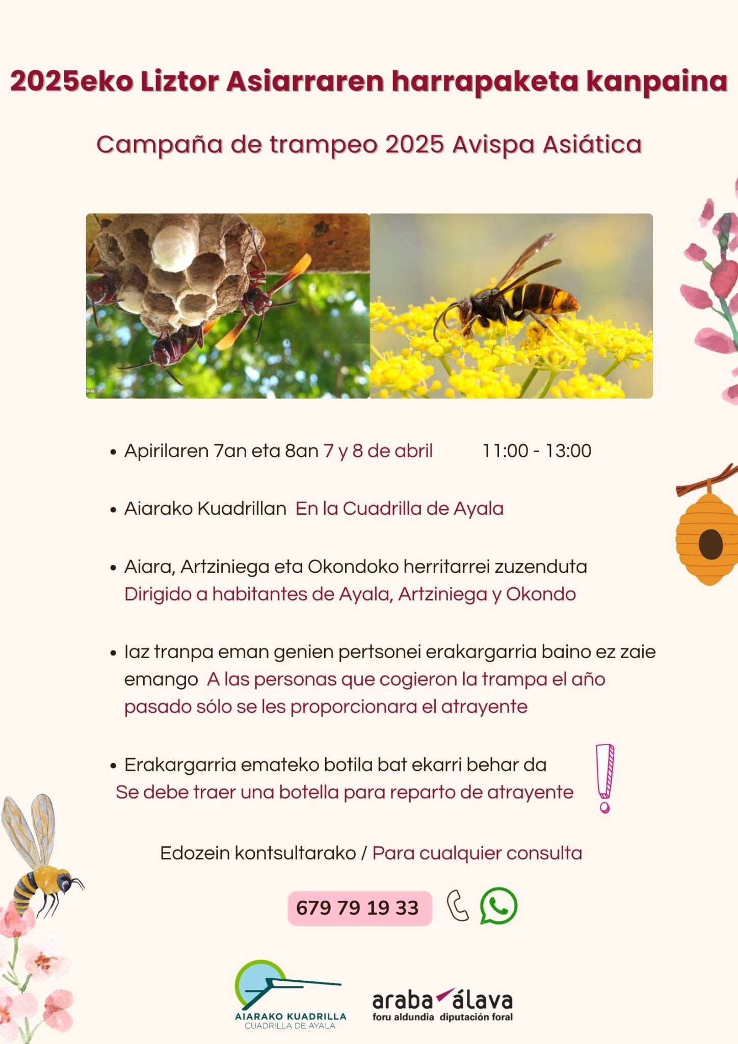 Liztor-Asiarra-1-scaled 2025eko liztor asiarraren harrapaketa-kanpaina Aiaraldeko Kuadrillan