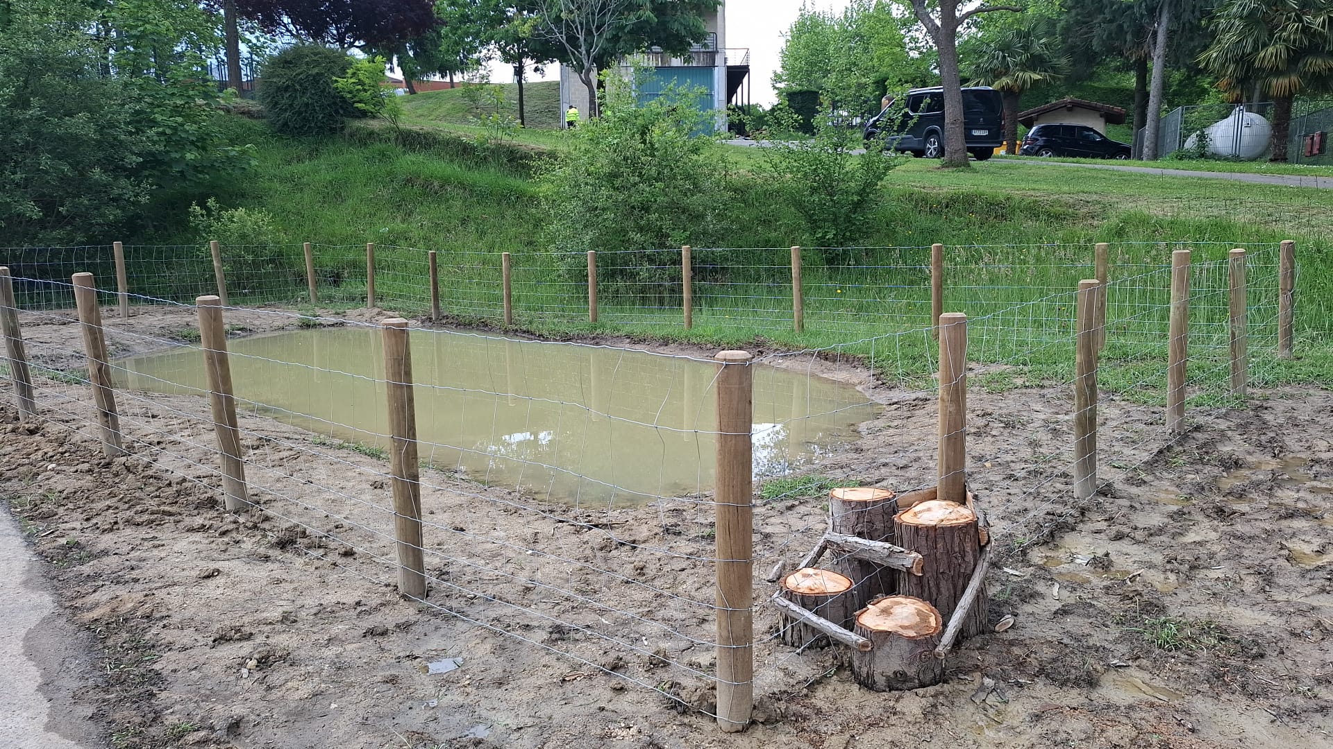 WhatsApp-Image-2025-05-14-at-13.56.36-2 La Cuadrilla de Aiaraldea impulsa la creación de charcas para conservar anfibios y fomentar la educación ambiental