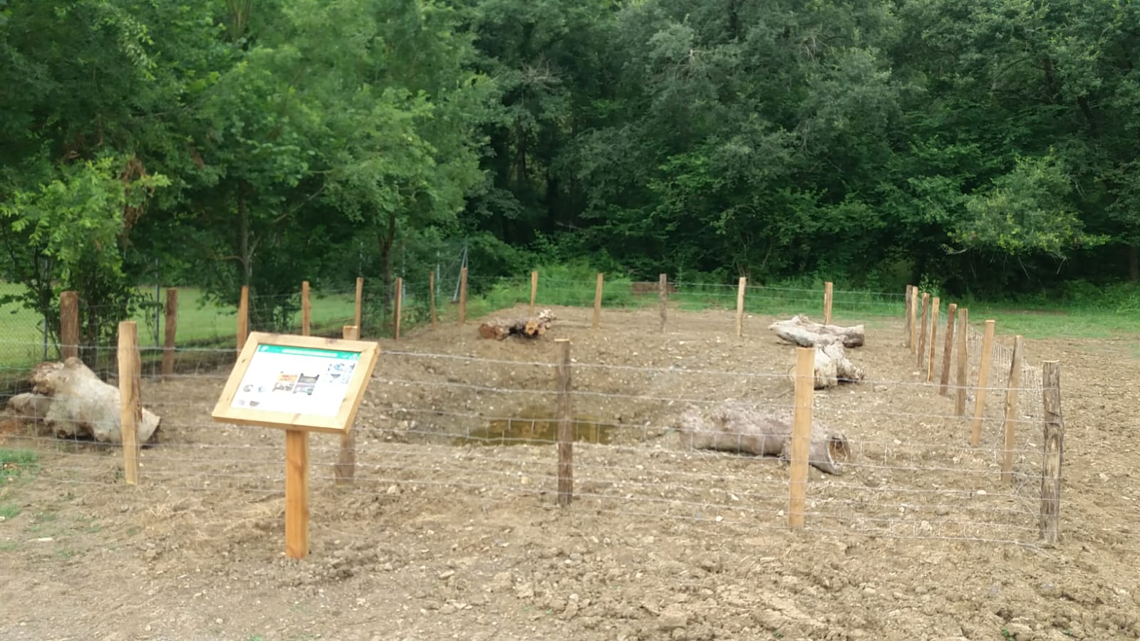 WhatsApp-Image-2025-07-02-at-20.38.44-1 La Cuadrilla de Aiaraldea impulsa la creación de charcas para conservar anfibios y fomentar la educación ambiental