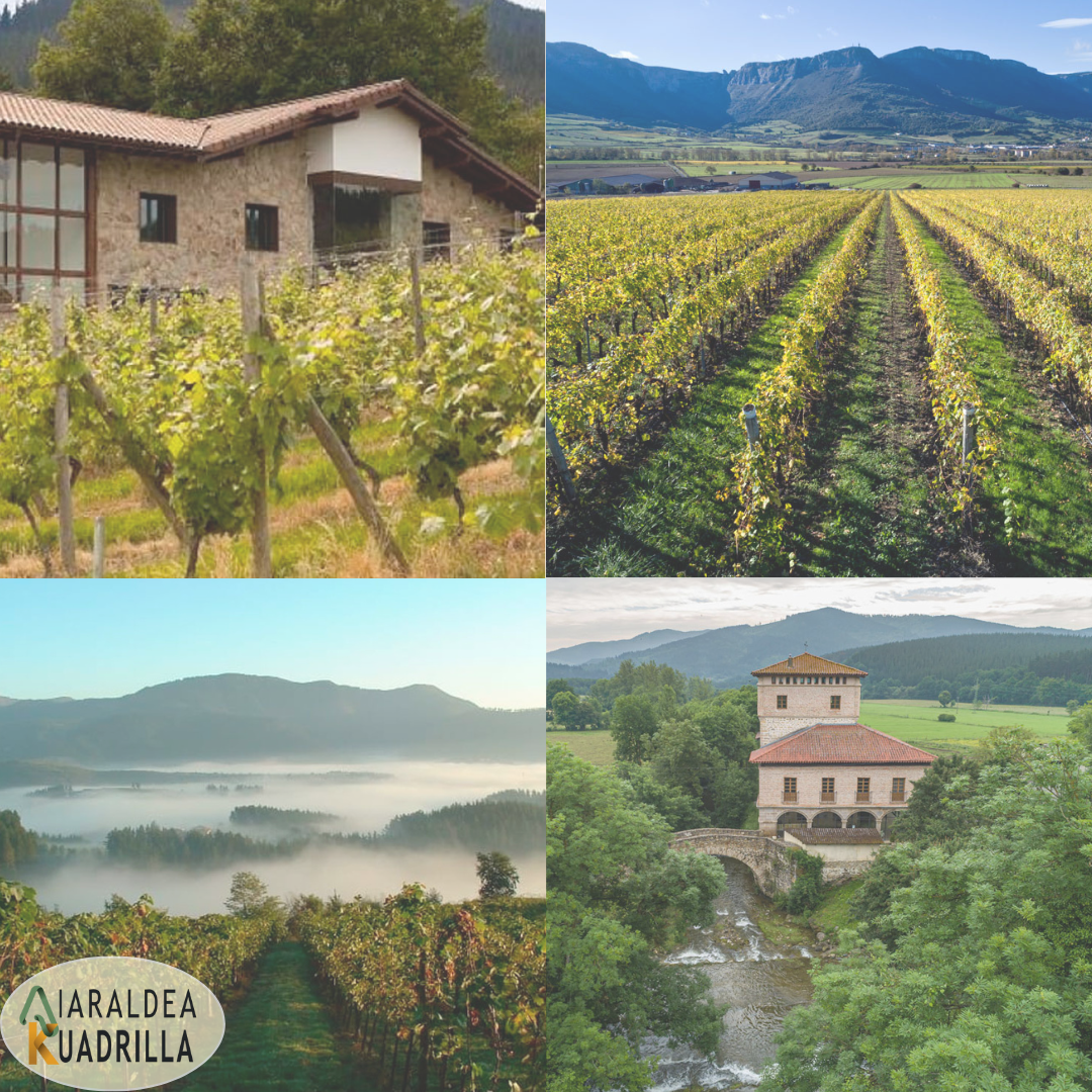 Diseno-sin-titulo-2 Aiaraldeko Kuadrillak bere apustu turistikoa indartu du “Txakolinaren Ibilbidearen” Elkartean sartzearekin eta HTA Mahaia sortzearekin