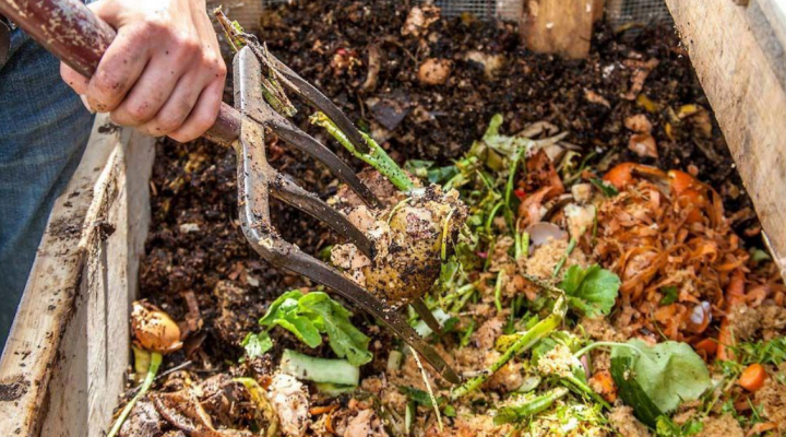 konposta-720x400 Albisteak